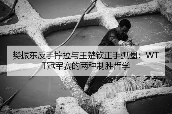 fan-zhen-dong-fan-shou-ning-la-yu-wang-chu-qin-zheng-shou-hu-quan-guan-jun-sai-de-liang-zhong-zhi-sheng-zhe-xue-3-241.jpg