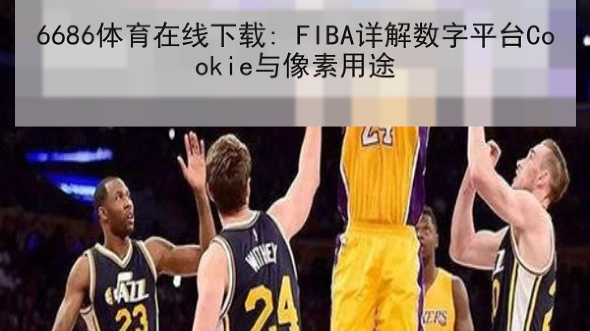 6686体育在线下载: FIBA详解数字平台Cookie与像素用途