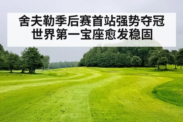 舍夫勒季后赛首站强势夺冠 世界第一宝座愈发稳固