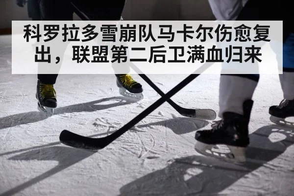 科罗拉多雪崩队马卡尔伤愈复出，联盟第二后卫满血归来