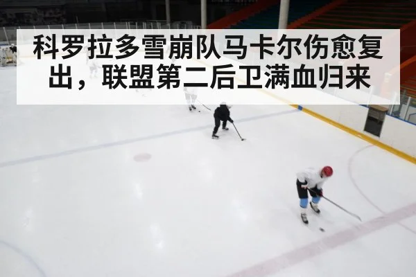 ice hockey rink